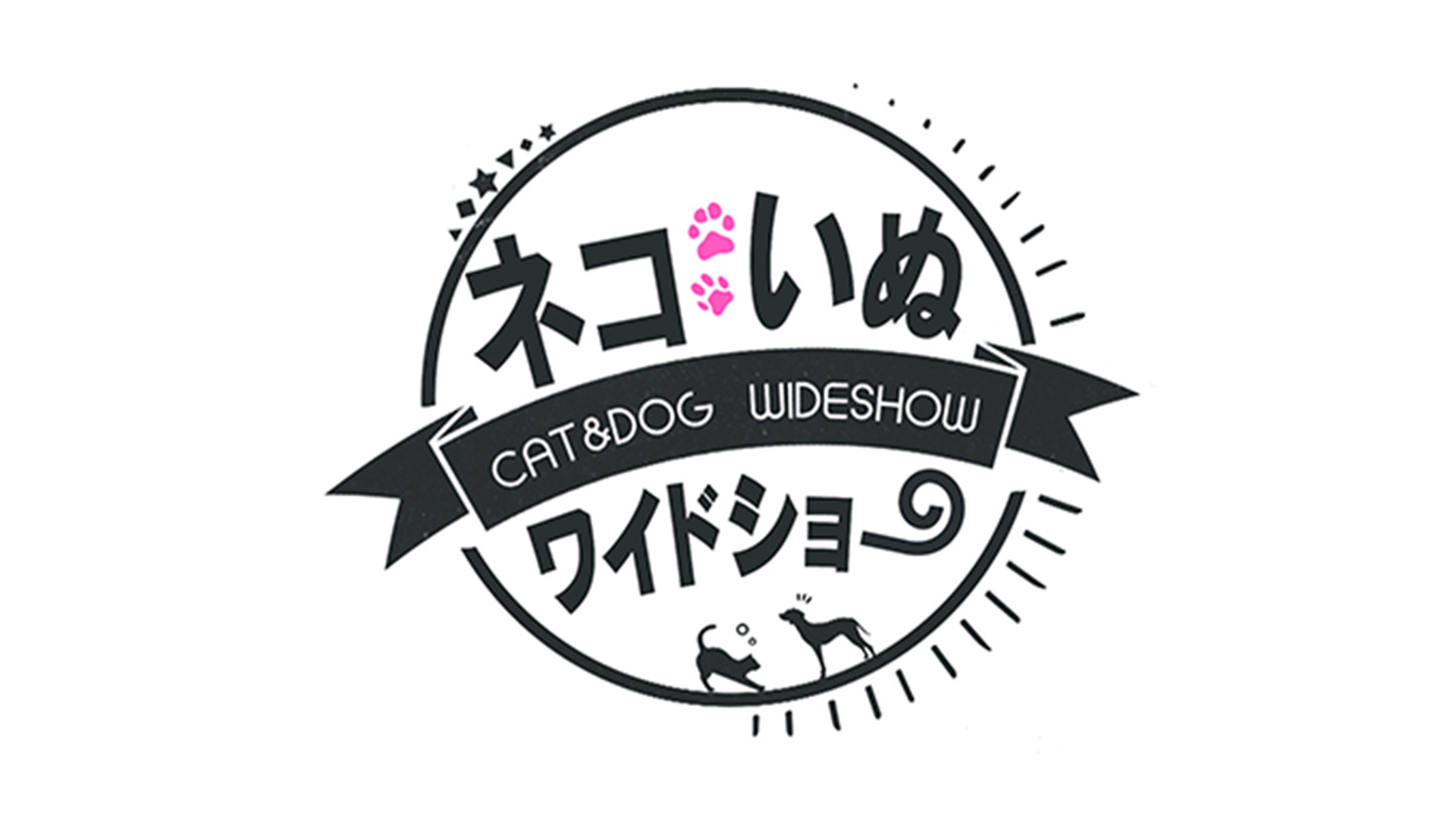 ネコいぬワイドショー